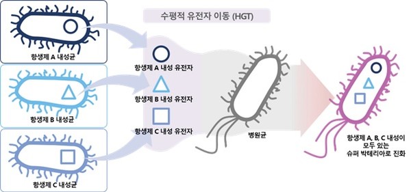슈퍼 박테리아로 진화하는 흐름을 도식화한 개념도