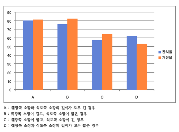 췌장쪽 소장길이가 혈당조절에 중요
