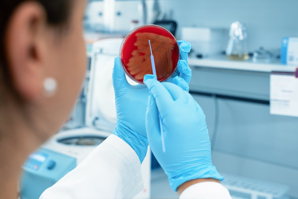 아틸라이신, 두려움 없는 포스트 항생제 시대 열어