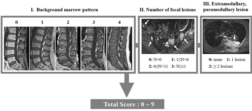 가톨릭대학교 서울성모병원 영상의학과 정준용(교신저자)·김동균(제1저자) 교수팀은 다발골수종의 핵심 3가지 영상 소견인 ▲배경 골수 패턴, ▲국소적 골병변의 개수, ▲골수 외 또는 골수 주변 병변의 유무와 개수를 통합한 전신 MRI 영상 기반의 점수 모델을 개발하였다.