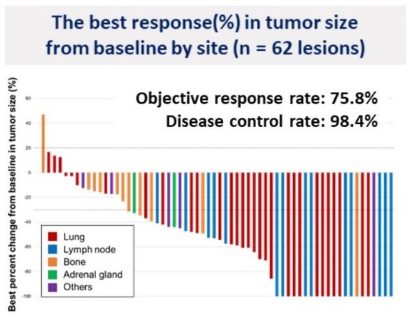 전체 전이 부위 중 33.9%에서 완전 반응(complete response)을, 41.9%에서 부분 반응(partial response)을 보였다, 객관적 반응율은 75.8%에 달했다.