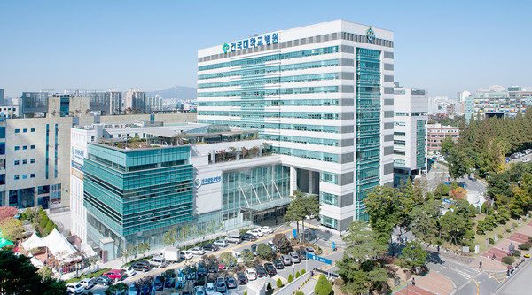 점안액만 넣으면 측정 가능, 환자별 맞춤수술 및 정확한 회복상태 진단가능