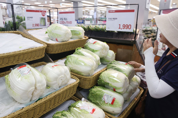 정부 비축 배추와 천일염...온라인도매시장서 저렴하게 판매 / 사진=연합뉴스 제공