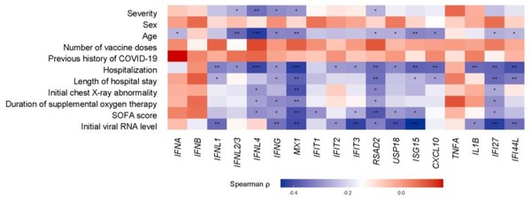 코로나19 감염 환자의 아데노이드에서 활성화되는 선천성 면역 인자 (가로축)과 임상 결과 (세로축)의 상관관계