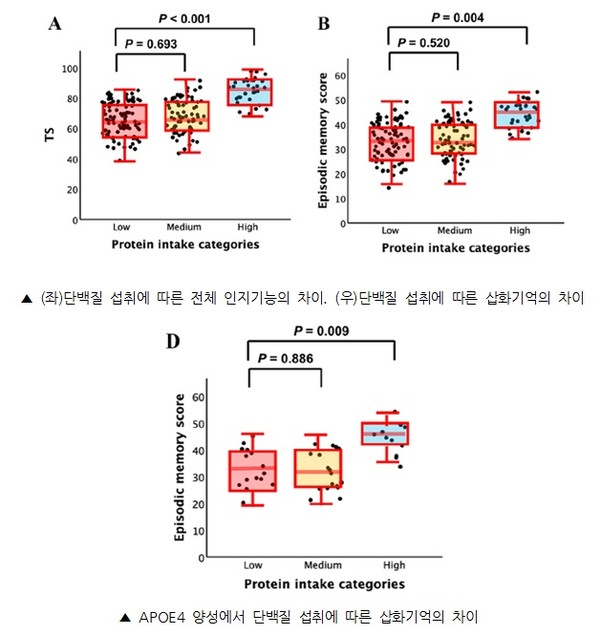 단백질 많이 먹으면 알츠하이머병 예방에 도움