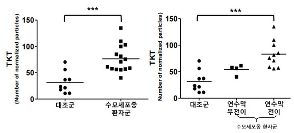 TKT 양성 세포외소포 개수 비교