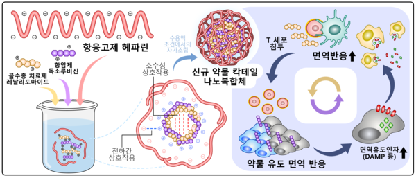 면역 유도 항암나노입자 개발