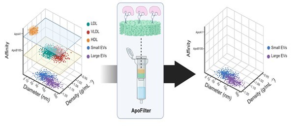 마이크로젠타스, 고순도 엑소좀 정제기술 ‘ApoFilter™’로 글로벌 진단·치료 시장 공략 가속화